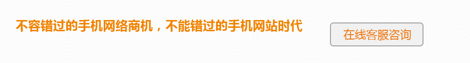 不容錯過(guò)的手機網(wǎng)絡(luò )商機，不能錯過(guò)的手機網(wǎng)站時(shí)代